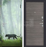 Металлическая дверь Фотопечать №237